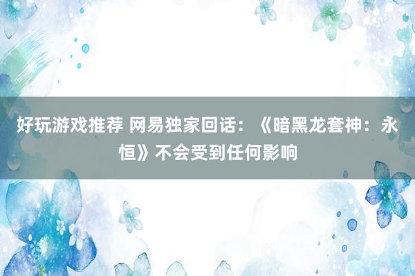 好玩游戏推荐 网易独家回话：《暗黑龙套神：永恒》不会受到任何影响