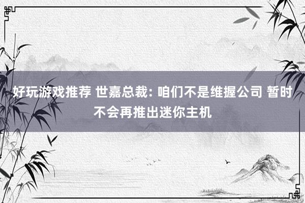 好玩游戏推荐 世嘉总裁: 咱们不是维握公司 暂时不会再推出迷你主机