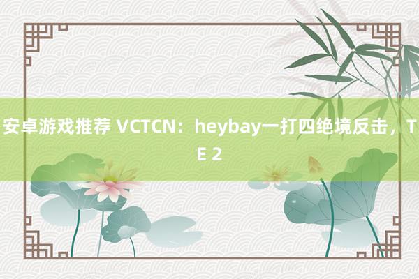 安卓游戏推荐 VCTCN：heybay一打四绝境反击，TE 2